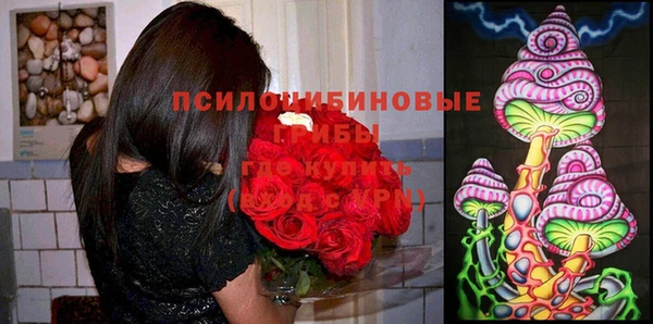 наркотики Алексин