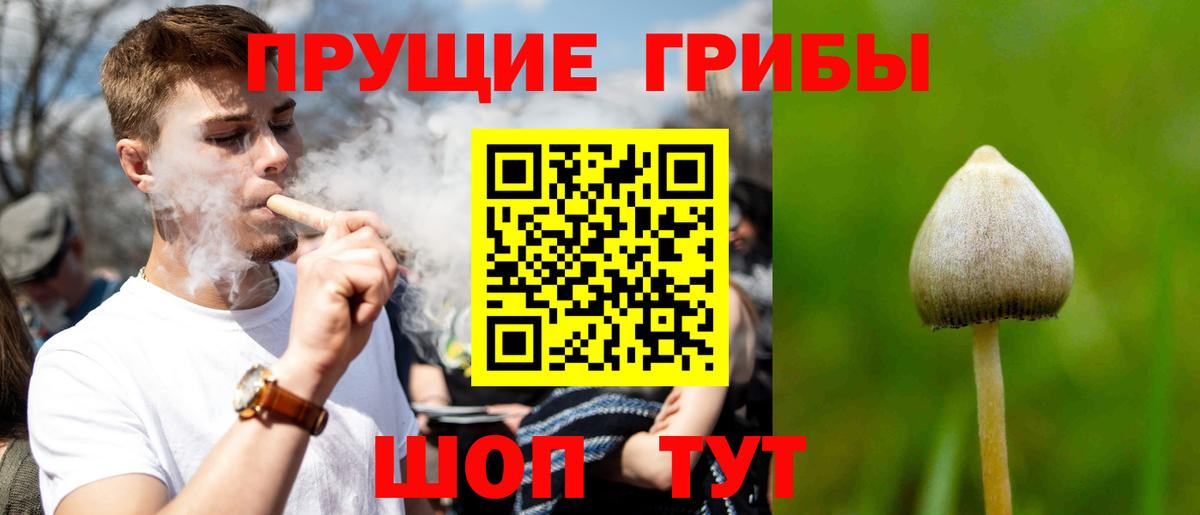 Псилоцибиновые грибы ЛСД  Вход с VPN  цена   Ярцево 